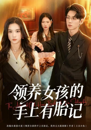 领养女孩的手上有胎记（60集）在线看免费版