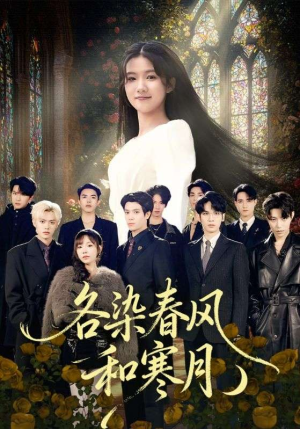 尘埃里的真千金（67集）精彩短剧追不停