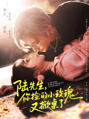 陆先生，你捡的小玫瑰又掀桌了（74集）短剧解说热门