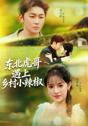 东北虎哥遇上乡村小辣椒（67集）精彩短剧推荐