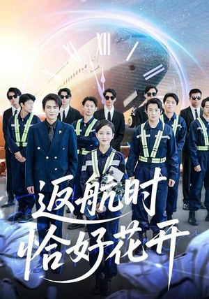 返航时恰好花开（101集）精彩连连免费看