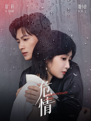 危情（65集）最火爆短剧