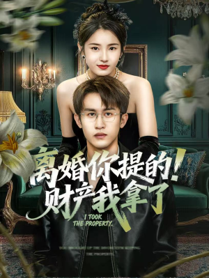 离婚你提的！财产我拿了（63集）看到大结局
