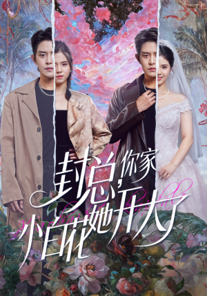 大佬你的牙粘口红了（60集）观看软件