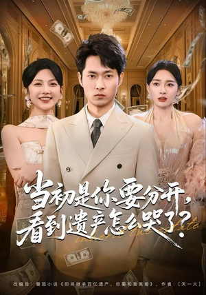 当初是你要分开，看到遗产怎么哭了？（70集）去哪里看