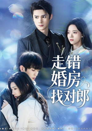 走错婚房找对郎（50集）在线观看全集