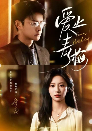 爱止青梅（60集）免费观看全集