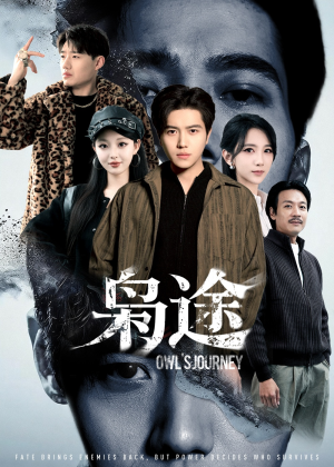 龙抬头1：莫欺少年穷（100集）无需充值尽情看