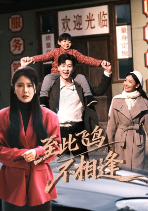 至此飞鸟不相逢（70集）在哪看是免费的