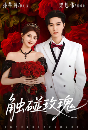 触碰玫瑰（80集）好看短剧追不停