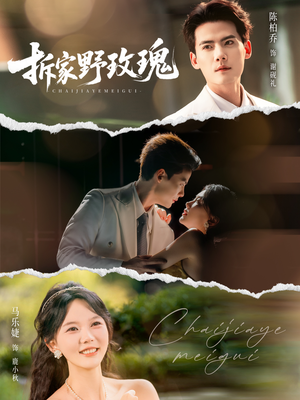 拆家野玫瑰（80集）今日最火短剧