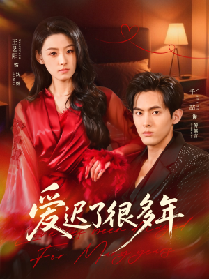 爱迟了很多年(73集) 爱迟了很多年(73集)高分推荐免费看