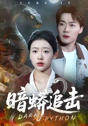 暗蟒追击（35集）短剧爆款推荐
