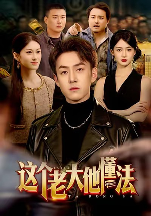 这个老大他懂法（100集）爆火短剧推荐