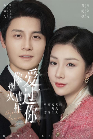 像烟火那样爱过你(62集) 像烟火那样爱过你(62集)短剧介绍