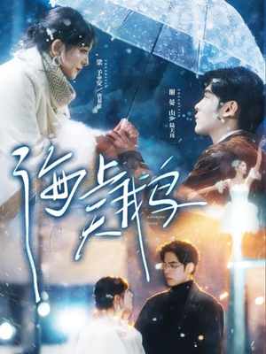 海上天鹅（70集）无需会员轻松看