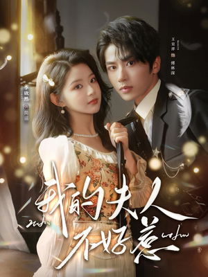 我的夫人不好惹(60集) 我的夫人不好惹(60集)热播短剧排行榜