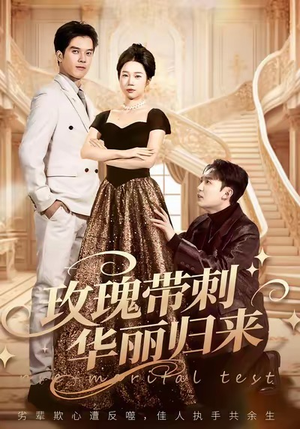 婚前测试他不配（83集）在线看