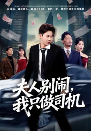 夫人别闹我只做司机（80集）网络小短剧