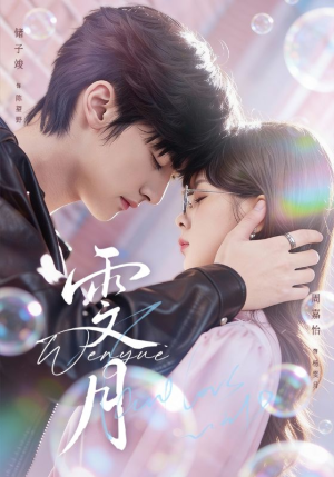 雯月(72集) 雯月(72集)在线观看