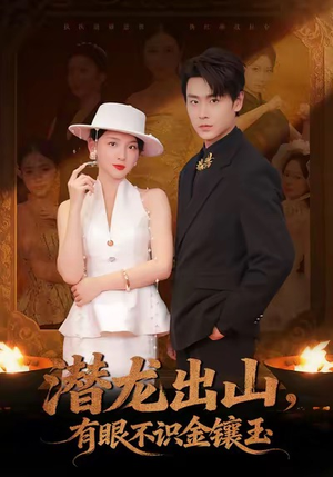 潜龙出山有眼不识金镶玉（78集）一共多少集