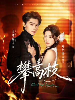 攀高枝（70集）免费看全网短剧