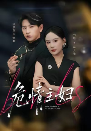 危情主妇（60集）全季一次看完