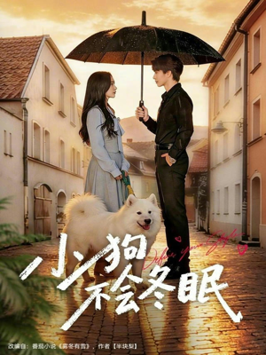 小狗不会冬眠（70集）在哪个平台能看