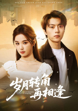 岁月转角再相逢（80集）好看的短剧来了