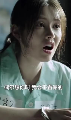 秘密复仇（36集）1-102集