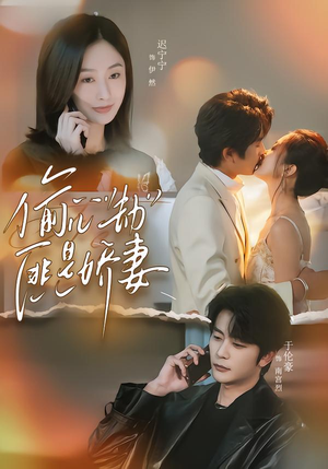 偷心劫匪是娇妻（61集）短剧爆款推荐