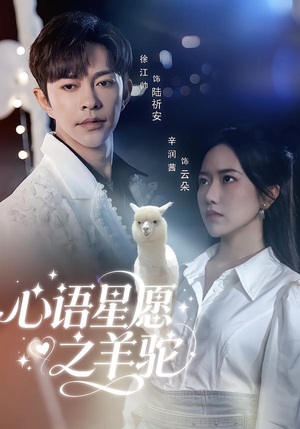 心语星愿之羊驼（60集）每日短剧推荐