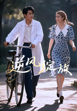 逆风绽放（55集）剧好看短剧推荐