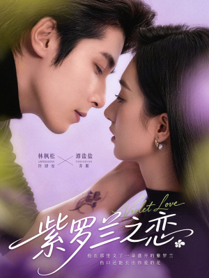 紫罗兰之恋（82集）每日分享短剧