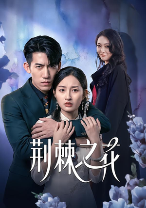 荆棘之花（100集）推荐你们也去看