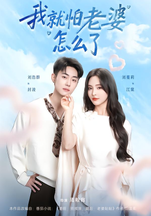 我就怕老婆怎么了（88集）短剧解说热门