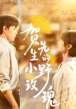 贺先生的小野玫瑰（99集）好看到停不下来