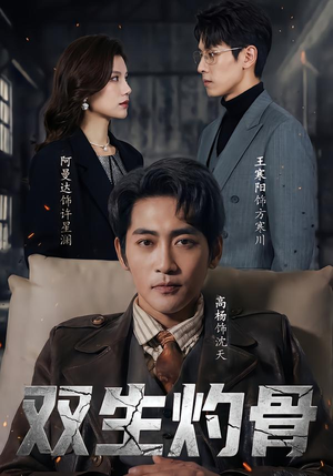 双生灼骨（60集）河马免费短剧