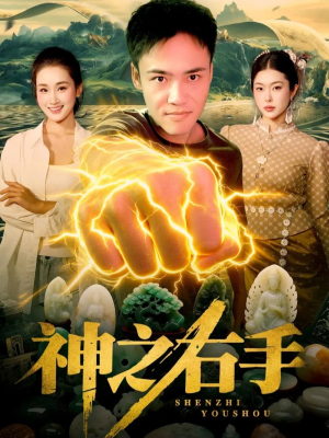 神之右手（100集）免费看短剧