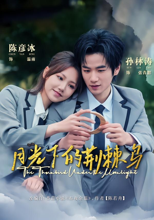 月光下的荆棘鸟(80集) 月光下的荆棘鸟(80集)免费版