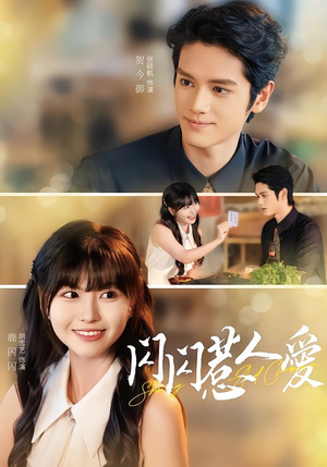 闪闪惹人爱（60集）1-102集