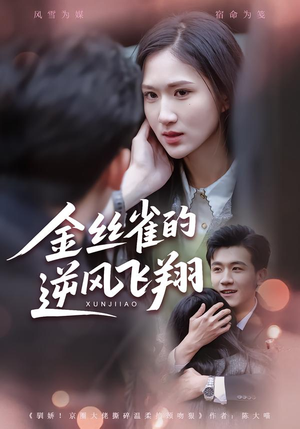 金丝雀的逆风飞翔（80集）追短剧看全集