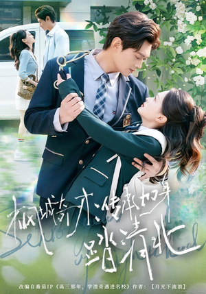 枫城奇才：传承加身踏清北（80集）短剧在哪里看