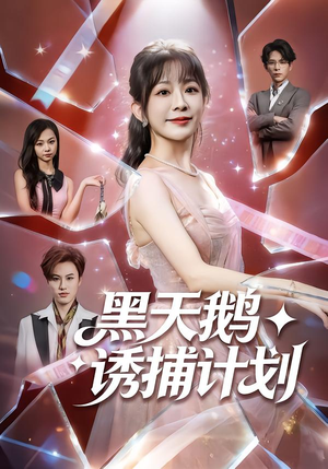 黑天鹅诱捕计划（81集）短剧全集更精彩