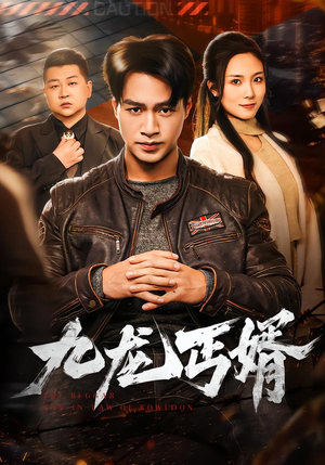 九龙丐婿（81集）热门短剧免费看