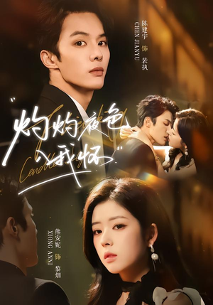 灼灼夜色入我怀（60集）完整版