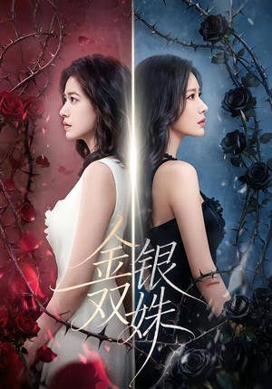 金银双姝（80集）原创精彩短剧
