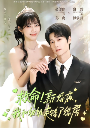救命!新婚夜,我和姐姐走错了婚房(58集) 救命!新婚夜,我和姐姐走错了婚房(58集)免费短剧全集看