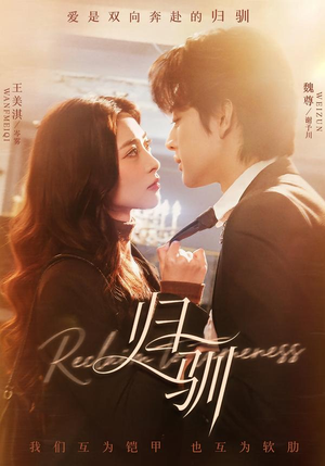 归驯（82集）在线免费观影