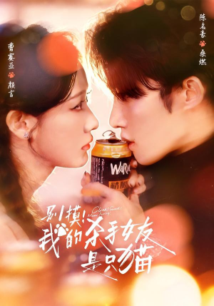 别摸！我的杀手女友是只猫（60集）短剧解说热门